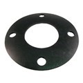 Viton ANSI Flange Gaskets