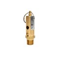 Relief Valve Fig 548 1/2 in 40 lbs